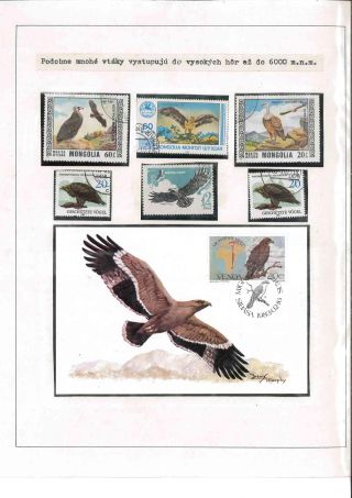Vogelleben – Blatt 7