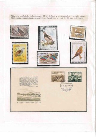 Vogelleben – Blatt 8