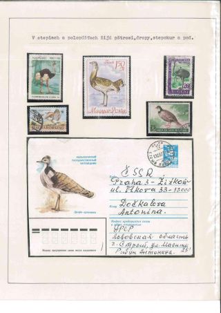 Vogelleben – Blatt 9