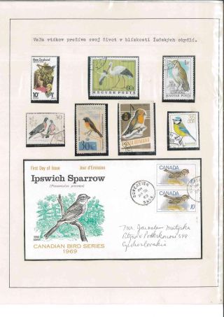Vogelleben – Blatt 10