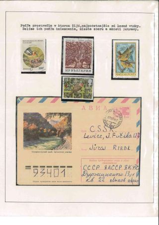 Vogelleben – Blatt 12