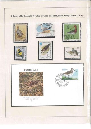 Vogelleben – Blatt 13