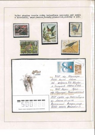 Vogelleben – Blatt 14