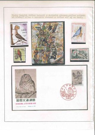 Vogelleben – Blatt 15