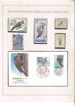 Vogelleben – Blatt 16