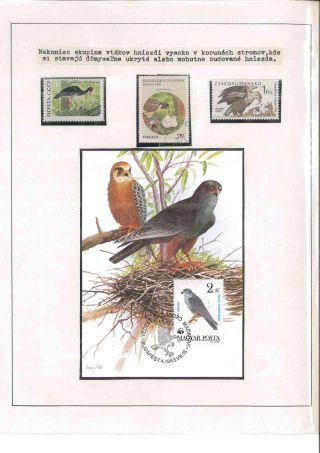 Vtáčí život – list 17