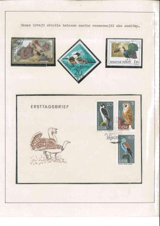 Vtáčí život – list 26