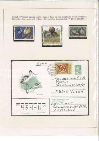 Vtáčí život – list 31