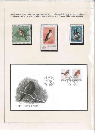 Bird's life – sheet 33