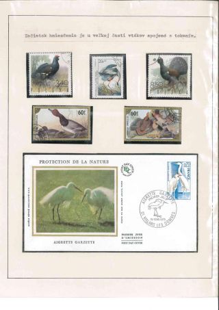 Bird's life – sheet 34