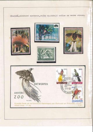 Bird's life – sheet 36