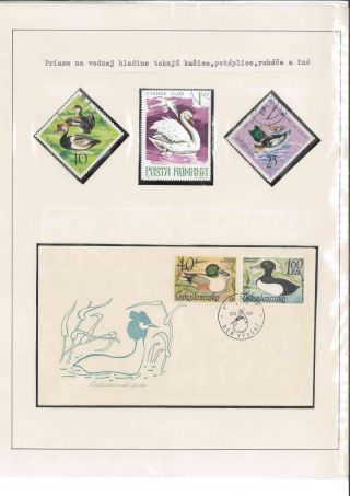 Bird's life – sheet 37