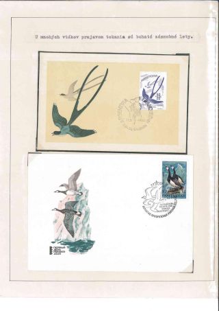 Bird's life – sheet 38