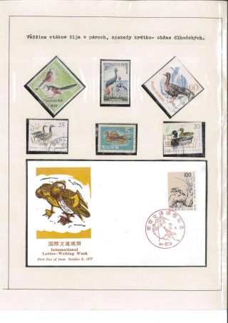 Bird's life – sheet 39