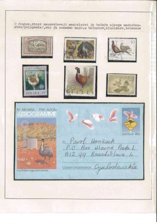 Bird's life – sheet 41