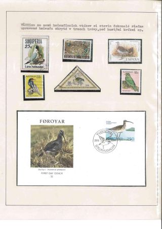 Bird's life – sheet 45
