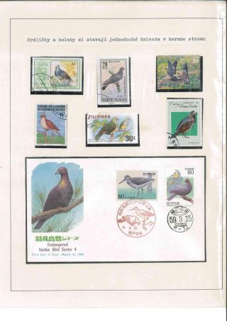 Bird's life – sheet 46