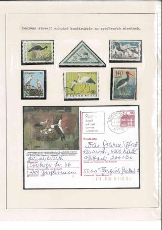 Bird's life – sheet 47