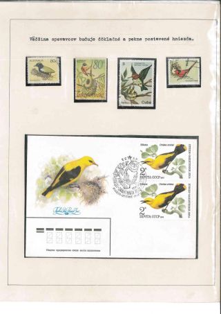 Bird's life – sheet 48