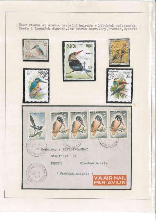 Vogelleben – Blatt 50
