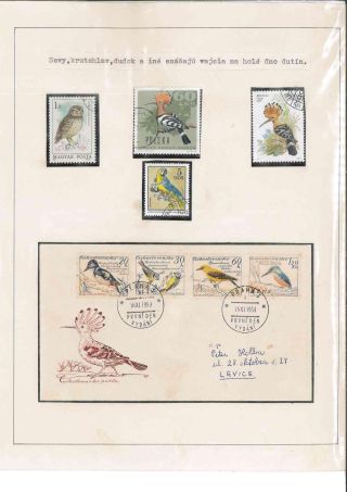 Vogelleben – Blatt 52