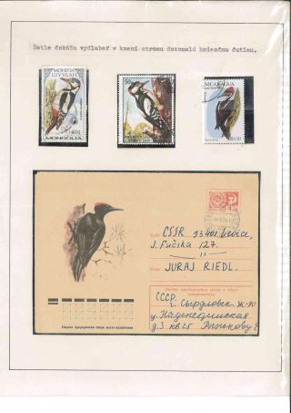 Vogelleben – Blatt 53