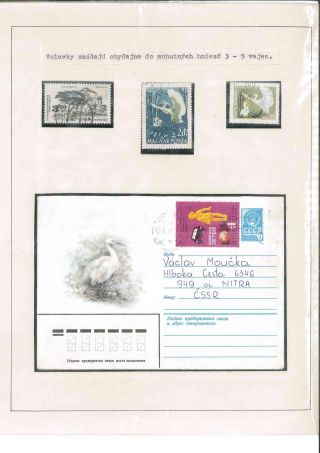 Bird's life – sheet 65