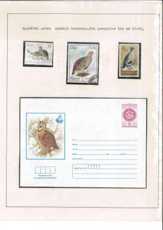 Bird's life – sheet 66