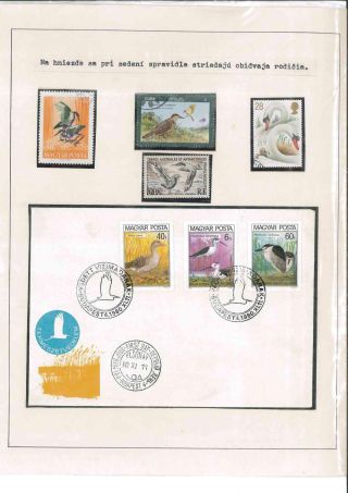 Bird's life – sheet 67