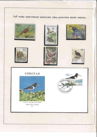 Bird's life – sheet 68