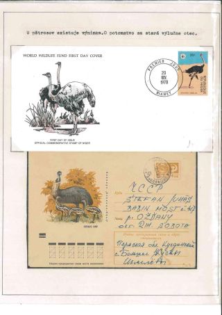 Bird's life – sheet 70