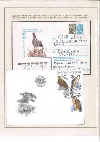 Bird's life – sheet 71