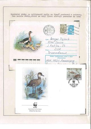 Bird's life – sheet 72