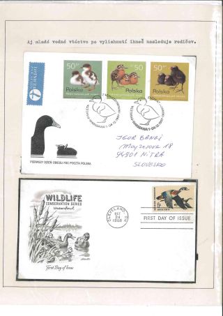 Bird's life – sheet 73