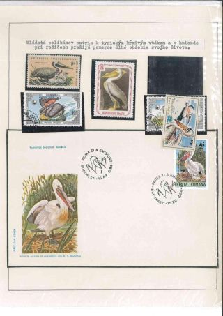 Bird's life – sheet 75