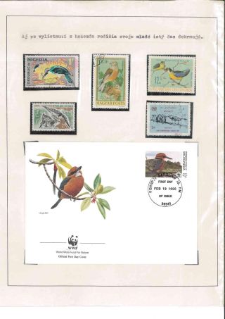 Bird's life – sheet 76