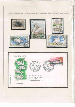 Bird's life – sheet 78