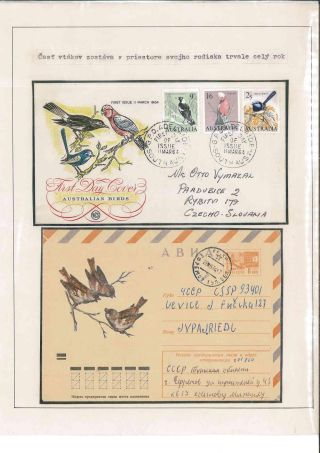 Bird's life – sheet 79