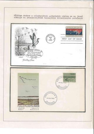Bird's life – sheet 80