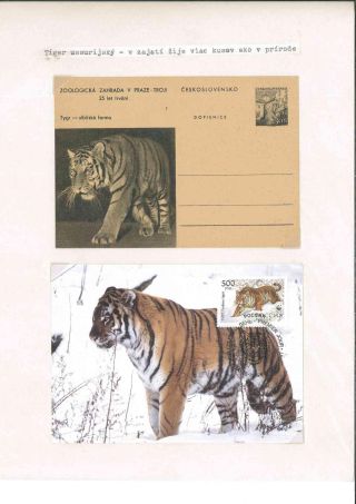 Prager Zoo – Blatt 6