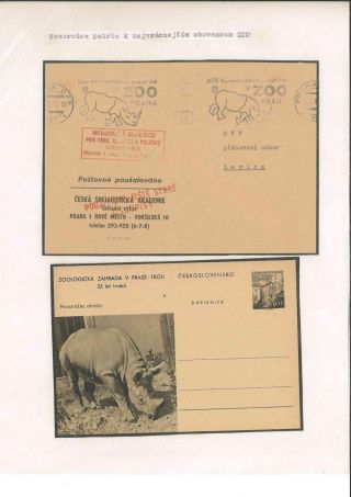 Prager Zoo – Blatt 9