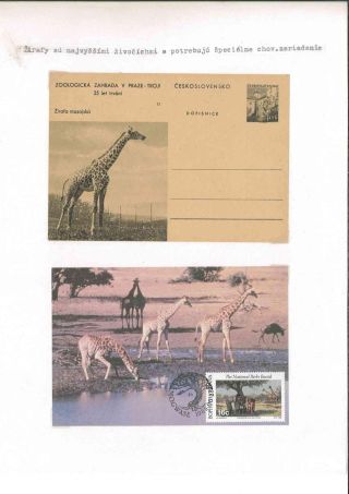 Prager Zoo – Blatt 10