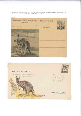 Prager Zoo – Blatt 15