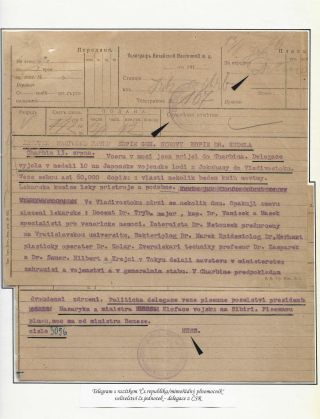 POŠTA ČESKOSLOVENSKÝCH LEGIÍ 1914-1920 – list 173