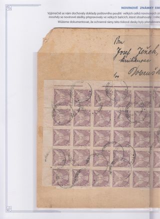 NOVINOVÉ ZNÁMKY EMISE SOKOL V LETU – list 51