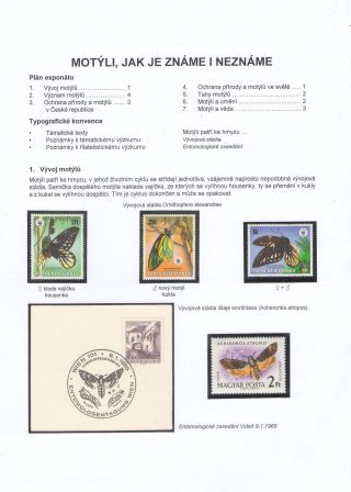 BUTTERFLIES KNOWN AND UNKNOWN – sheet 1