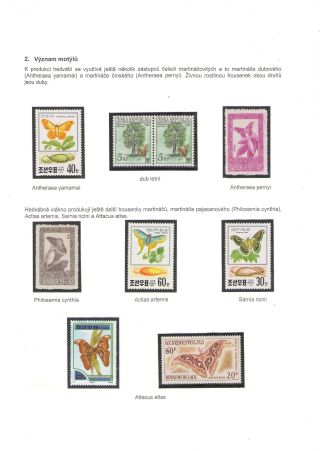 BUTTERFLIES KNOWN AND UNKNOWN – sheet 3