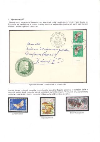 BUTTERFLIES KNOWN AND UNKNOWN – sheet 4