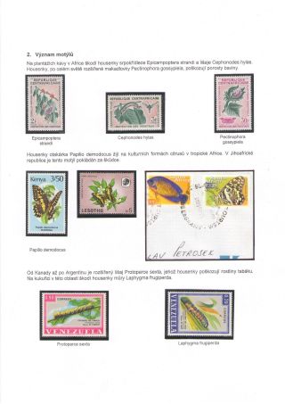 BUTTERFLIES KNOWN AND UNKNOWN – sheet 5