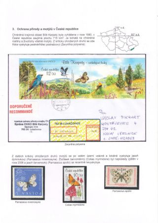 BUTTERFLIES KNOWN AND UNKNOWN – sheet 8
